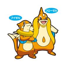 Buizel